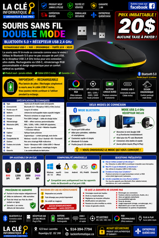Souris sans fil Bluetooth RGB rechargeable • Bluetooth 5.0 • USB-C • Ergonomique • 10 m — NEUVE